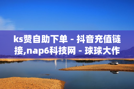 ks赞自助下单 - 抖音充值链接,nap6科技网 - 球球大作战观战人数购买平台