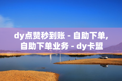 dy点赞秒到账 - 自助下单,自助下单业务 - dy卡盟