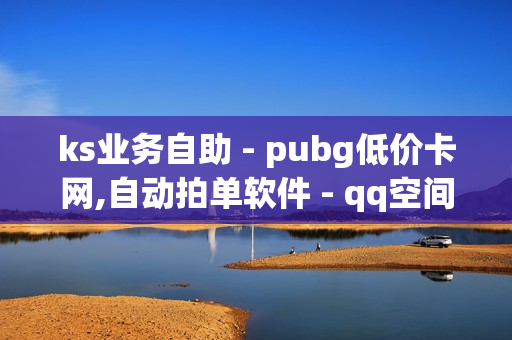 ks业务自助 - pubg低价卡网,自动拍单软件 - qq空间说说赞自助下单