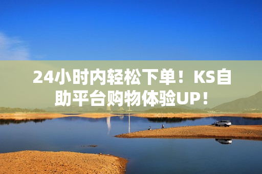 24小时内轻松下单！KS自助平台购物体验UP！