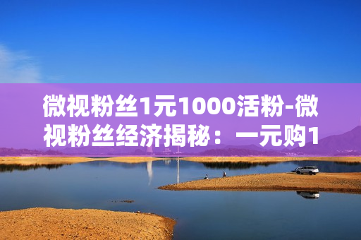 微视粉丝1元1000活粉-微视粉丝经济揭秘：一元购1000活粉策略深度解析