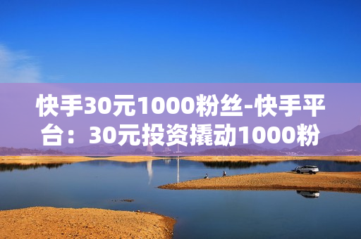 快手30元1000粉丝-快手平台：30元投资撬动1000粉丝增长策略揭秘