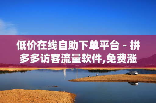 低价在线自助下单平台 - 拼多多访客流量软件,免费涨1000粉丝软件 - dy点赞24小时