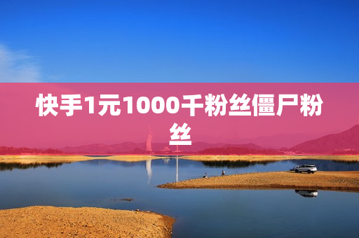 快手1元1000千粉丝僵尸粉丝