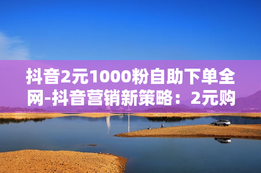 抖音2元1000粉自助下单全网-抖音营销新策略：2元购1000粉丝自助下单全解析