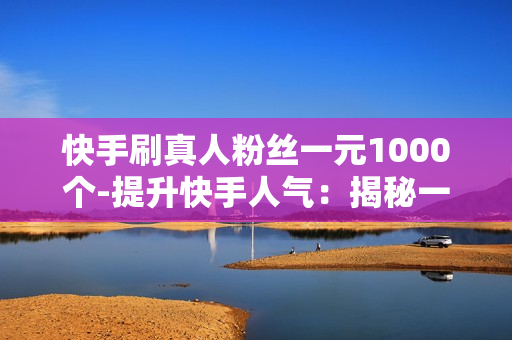 快手刷真人粉丝一元1000个-提升快手人气：揭秘一元一千真粉策略与SEO优化实战