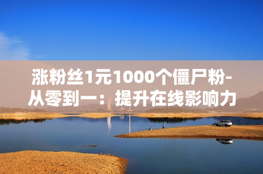 涨粉丝1元1000个僵尸粉-从零到一：提升在线影响力的策略