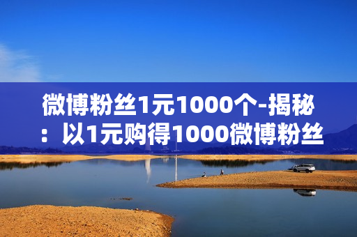 微博粉丝1元1000个-揭秘：以1元购得1000微博粉丝的策略与价值分析