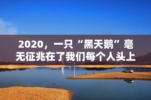 2020，一只“黑天鹅”毫无征兆在了我们每个人头上