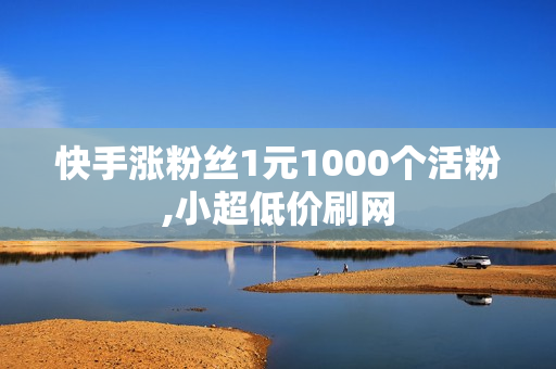 快手涨粉丝1元1000个活粉,小超低价刷网