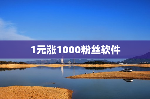 1元涨1000粉丝软件