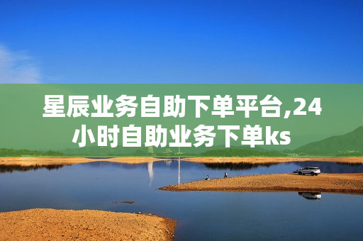 星辰业务自助下单平台,24小时自助业务下单ks