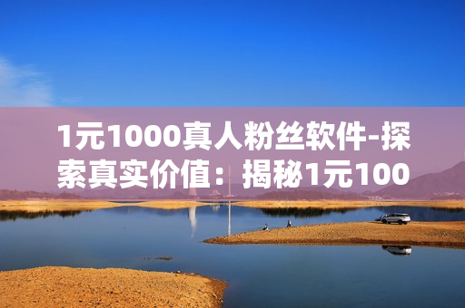 1元1000真人粉丝软件-探索真实价值：揭秘1元1000真人粉丝软件的优劣势与应用策略