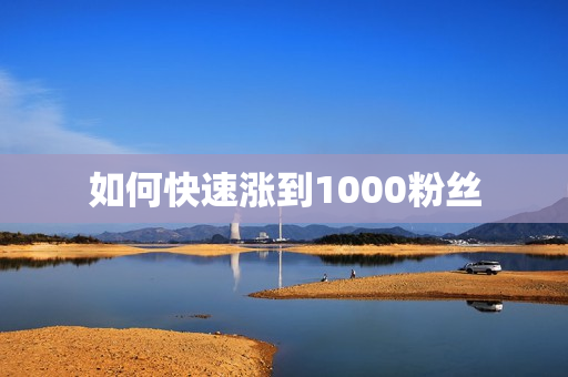 如何快速涨到1000粉丝