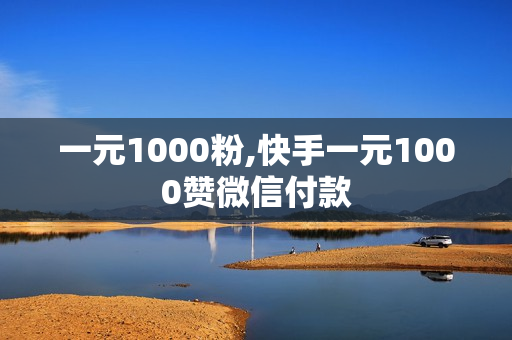 一元1000粉,快手一元1000赞微信付款