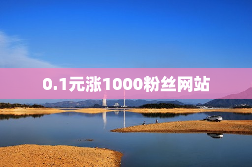 0.1元涨1000粉丝网站