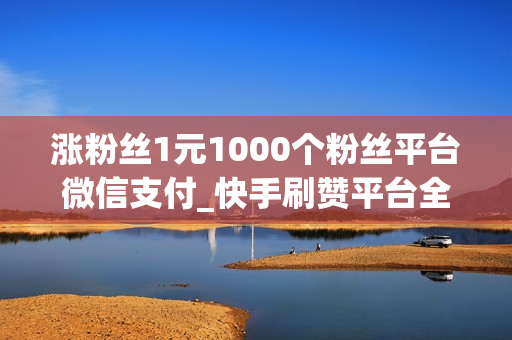 涨粉丝1元1000个粉丝平台微信支付_快手刷赞平台全网+最低价啊微信支付_qq刷