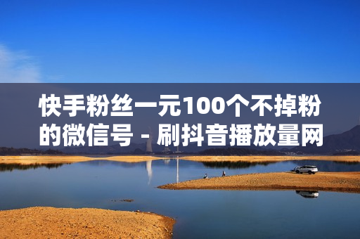 快手粉丝一元100个不掉粉的微信号 - 刷抖音播放量网站,彩虹秒赞网