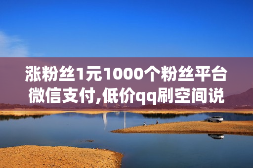 涨粉丝1元1000个粉丝平台微信支付,低价qq刷空间说说赞自定义