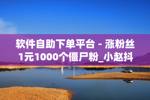 软件自助下单平台 - 涨粉丝1元1000个僵尸粉_小赵抖音刷赞平台