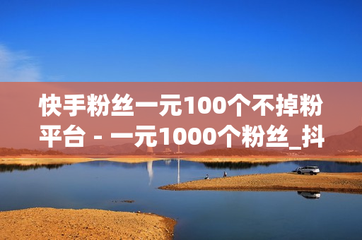 快手粉丝一元100个不掉粉平台 - 一元1000个粉丝_抖音刷粉网站网址