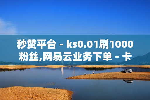 秒赞平台 - ks0.01刷1000粉丝,网易云业务下单 - 卡盟低价自助下单