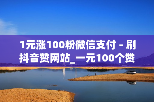 1元涨100粉微信支付 - 刷抖音赞网站_一元100个赞秒到