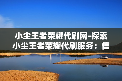 小尘王者荣耀代刷网-探索小尘王者荣耀代刷服务：信誉、优势与安全分析