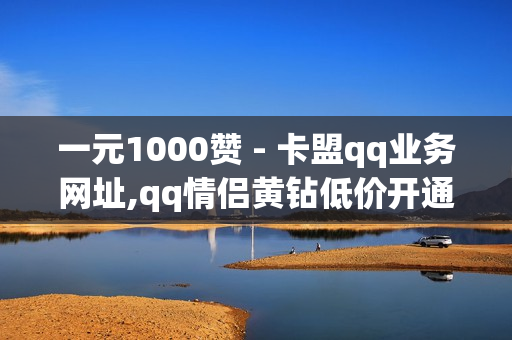 一元1000赞 - 卡盟qq业务网址,qq情侣黄钻低价开通 - 模拟微信聊天软件app