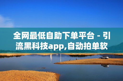 全网最低自助下单平台 - 引流黑科技app,自动拍单软件 - 老马业务网卡盟