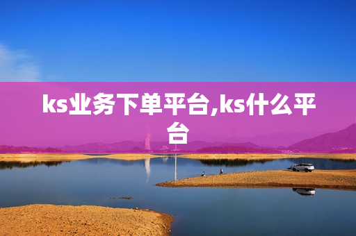 ks业务下单平台,ks什么平台