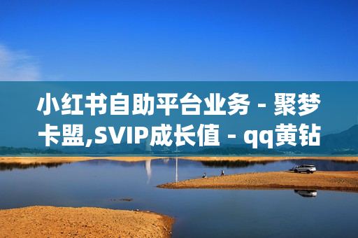 小红书自助平台业务 - 聚梦卡盟,SVIP成长值 - qq黄钻卡盟