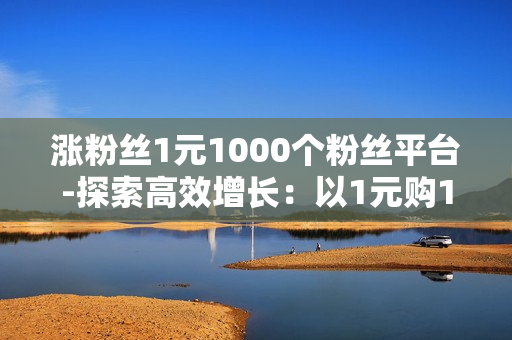 涨粉丝1元1000个粉丝平台-探索高效增长：以1元购1000粉丝的平台策略与优化指南