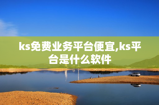 ks免费业务平台便宜,ks平台是什么软件