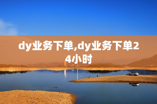 dy业务下单,dy业务下单24小时