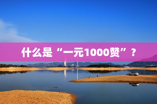 什么是“一元1000赞”？