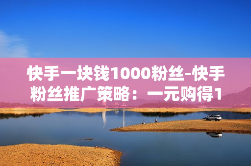 快手一块钱1000粉丝-快手粉丝推广策略：一元购得1000粉丝的秘密揭秘