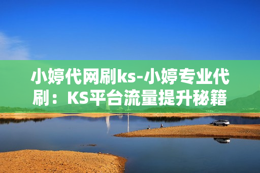 小婷代网刷ks-小婷专业代刷：KS平台流量提升秘籍与策略解析