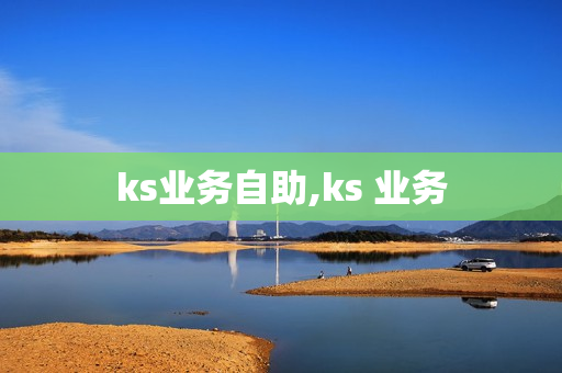 ks业务自助,ks 业务