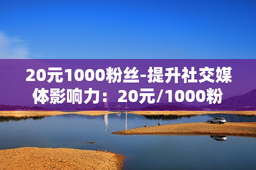 20元1000粉丝-提升社交媒体影响力：20元/1000粉丝的性价比分析与策略