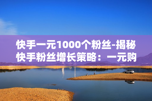 快手一元1000个粉丝-揭秘快手粉丝增长策略：一元购1000粉丝背后的营销奥秘