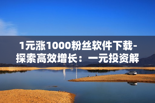 1元涨1000粉丝软件下载-探索高效增长：一元投资解锁1000粉丝的秘密