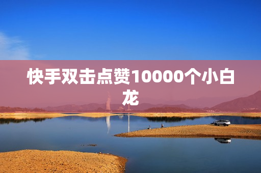 快手双击点赞10000个小白龙