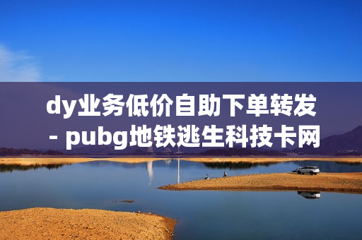 dy业务低价自助下单转发 - pubg地铁逃生科技卡网,小红书推广方法 - 快手1元100赞