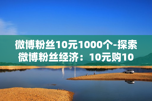 微博粉丝10元1000个-探索微博粉丝经济：10元购1000粉背后的策略与价值分析