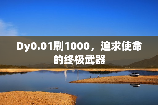 Dy0.01刷1000，追求使命的终极武器