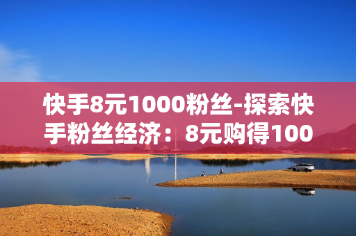 快手8元1000粉丝-探索快手粉丝经济：8元购得1000粉丝背后的机遇与策略