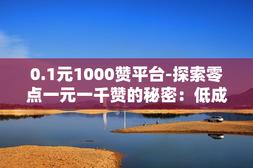 0.1元1000赞平台-探索零点一元一千赞的秘密：低成本社交媒体推广策略解析