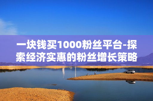 一块钱买1000粉丝平台-探索经济实惠的粉丝增长策略：揭秘“一元购1000粉丝”平台的利弊与优化