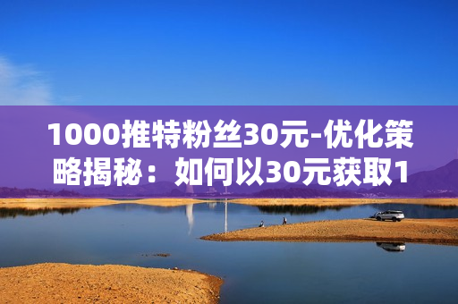 1000推特粉丝30元-优化策略揭秘：如何以30元获取1000推特粉丝的高效营销指南